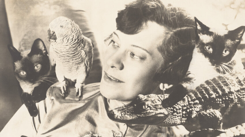Tilla Durieux (undatiert) - Aus dem Begleitbuch der Ausstellung, S. 216/ 217 © Sasha Stone / Akademie der Künste, Berlin, Tilla-Durieux-Archiv, Inventar.-Nr.: 132 