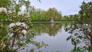 Barockgarten &copy; Barockgarten Zabeltitz