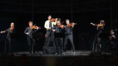 Wild Violas_Mischa Salevic © Mischa Salevic