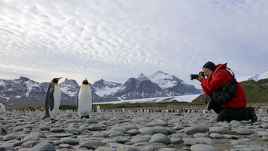 Yadegar Asisi ANTARKTIS_(c) asisi_klein &copy; Asisi, Yadegar Asisi fotografiert Pinguine für ANTARKTIS