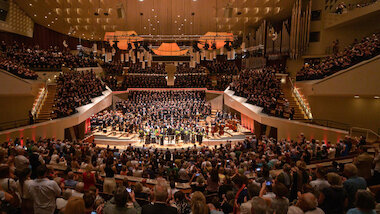 schöpfung 1920 1080 © Peter Adamik