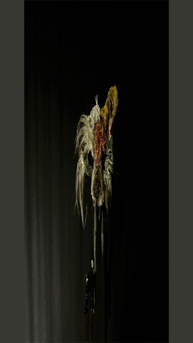 Grelle Tage_Merle Smalla &copy; Merle Smalla