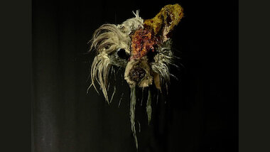 Grelle Tage neu_Grelle Tage &copy; Grelle Tage Produktion