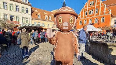 Pulsnitz 1 &copy; Promo