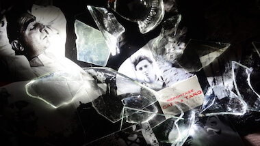 Taro_Christine Zeides &copy; Christine Zeides