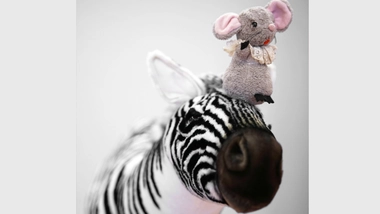 ZebraLaLa@K.n.uhrteich_zebra_&_piepsi © K.n.uhrteich