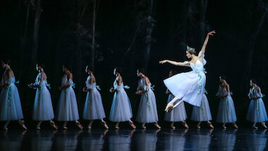 SBB Giselle © Mariia Kulchytska