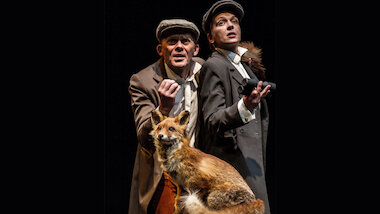 Die Geschichte vom Fuchs_jsn media art &copy; jsn media art