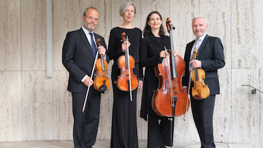 DiplomatStreichqu_Tim Schaarschmidt &copy; Tim Schaarschmidt