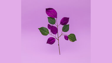 Blutbuch_Ronald Kunz &copy; Ronald Kunz