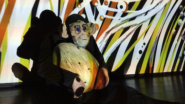 Ei Pad © Michaela Bartonova