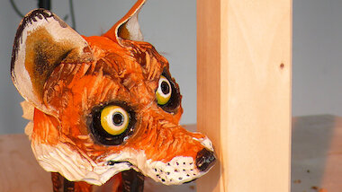 Vom Fuchs ... © Susanne Olbrich